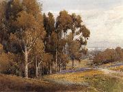 A Grove of Eucalyptus in Spring unknow artist
